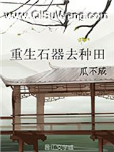 重生石器去种田（GL）小说