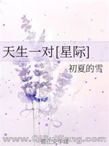 天生一对[星际]小说
