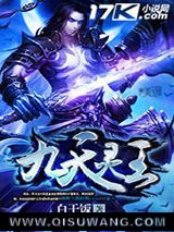 九天灵王小说