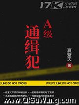 A级通缉犯小说