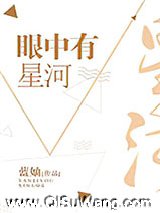 眼中有星河小说