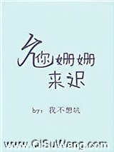 允你姗姗来迟小说