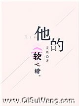 他的软心糖小说