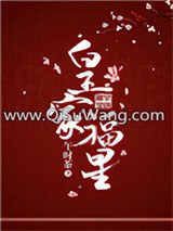 皇家福星小说