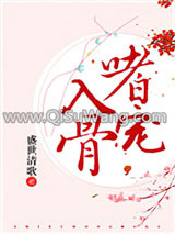 嗜宠入骨小说