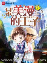 某美漫的王子小说