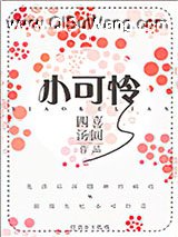 小可怜小说