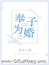 奉子为婚小说