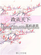 政从天下小说