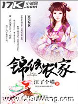 锦绣农家小说