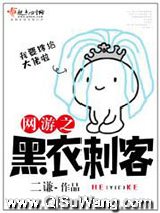 网游之黑衣刺客小说