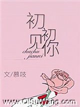 初初见你小说