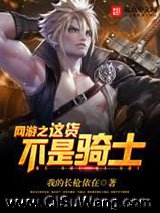 网游之这货不是骑士小说