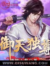 御天独尊小说