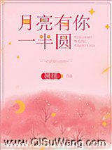 月亮有你一半圆小说