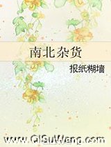 南北杂货小说