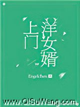 上门洋女婿小说