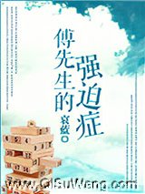 傅先生的强迫症小说