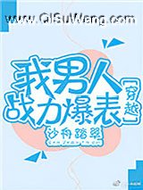 我男人战力爆表[穿越]小说