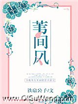 苇间风小说