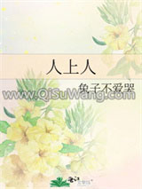 人上人小说