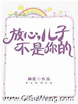 放心,儿子不是你的小说