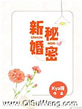 新婚秘密小说