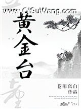 黄金台小说