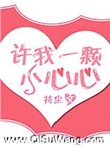 许我一颗小心心小说
