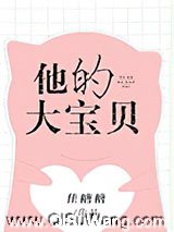 他的大宝贝小说