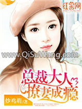 总裁大人撩妻成瘾小说