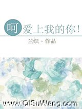 呵，爱上我的你！小说