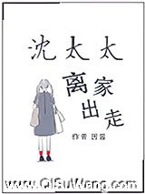 沈太太离家出走小说