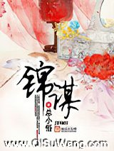 锦谋小说