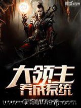 大领主养成系统小说