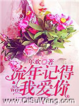 流年记得我爱你小说