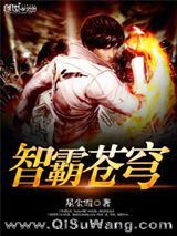 智霸苍穹小说