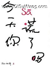 今天你撒谎了吗小说