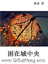 困在城中央小说