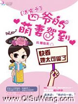 清穿之四爷的萌妻驾到小说