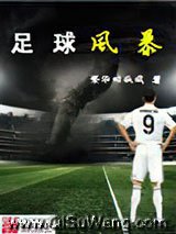 足球风暴小说