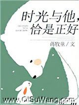 时光与他，恰是正好小说