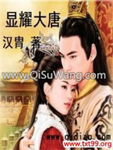 显耀大唐小说