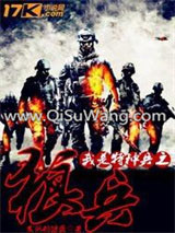 我是特种兵之狼兵小说