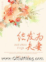 结发为夫妻小说