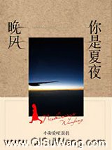 你是夏夜晚风小说