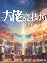 大佬竞技场小说