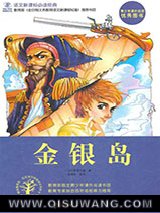 金银岛小说