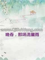 晚春，那场流星雨小说