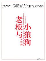 老板与小狼狗小说